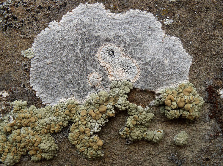 sull''arenaria della Laga 2